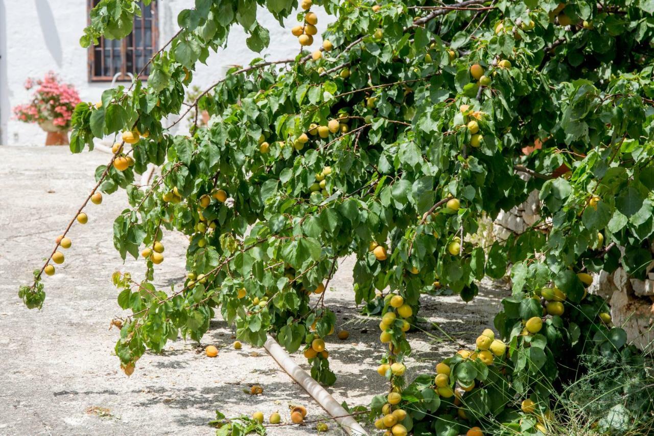 모노폴리 Profumo Di Terra 아파트 외부 사진